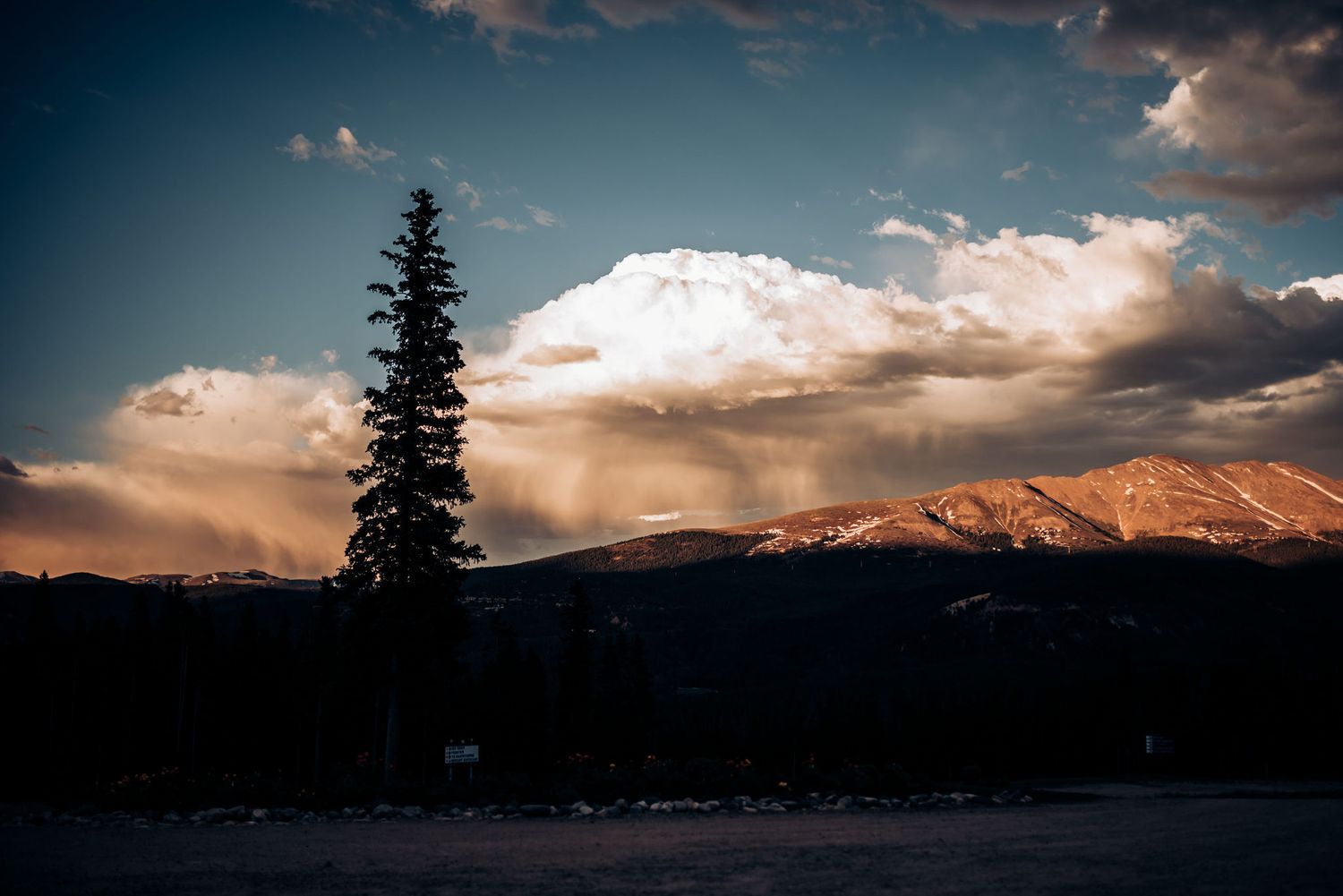Dramatic sunset over snowy mountain peaks with silhouetted evergreen tree in the foreground.