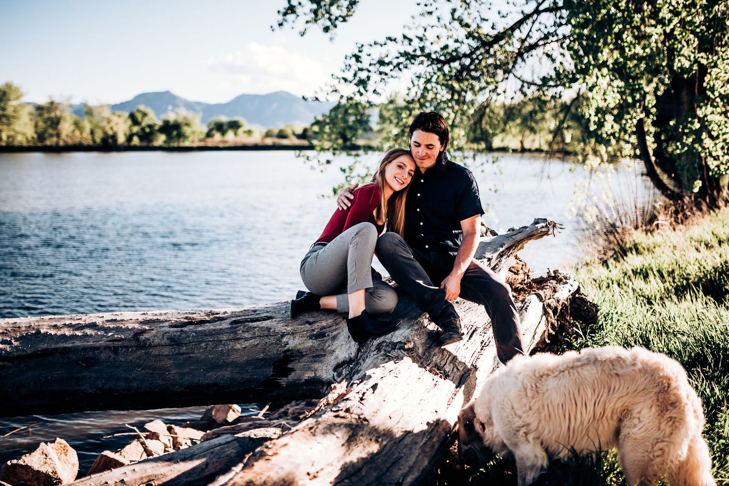 Couple sits with dog on fallen log by mountain lake.