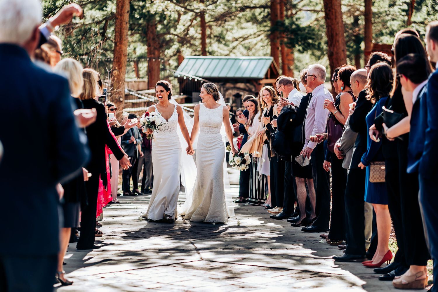 Wedding guests line a pathway through pine trees as a couple walks between them during the ceremony.