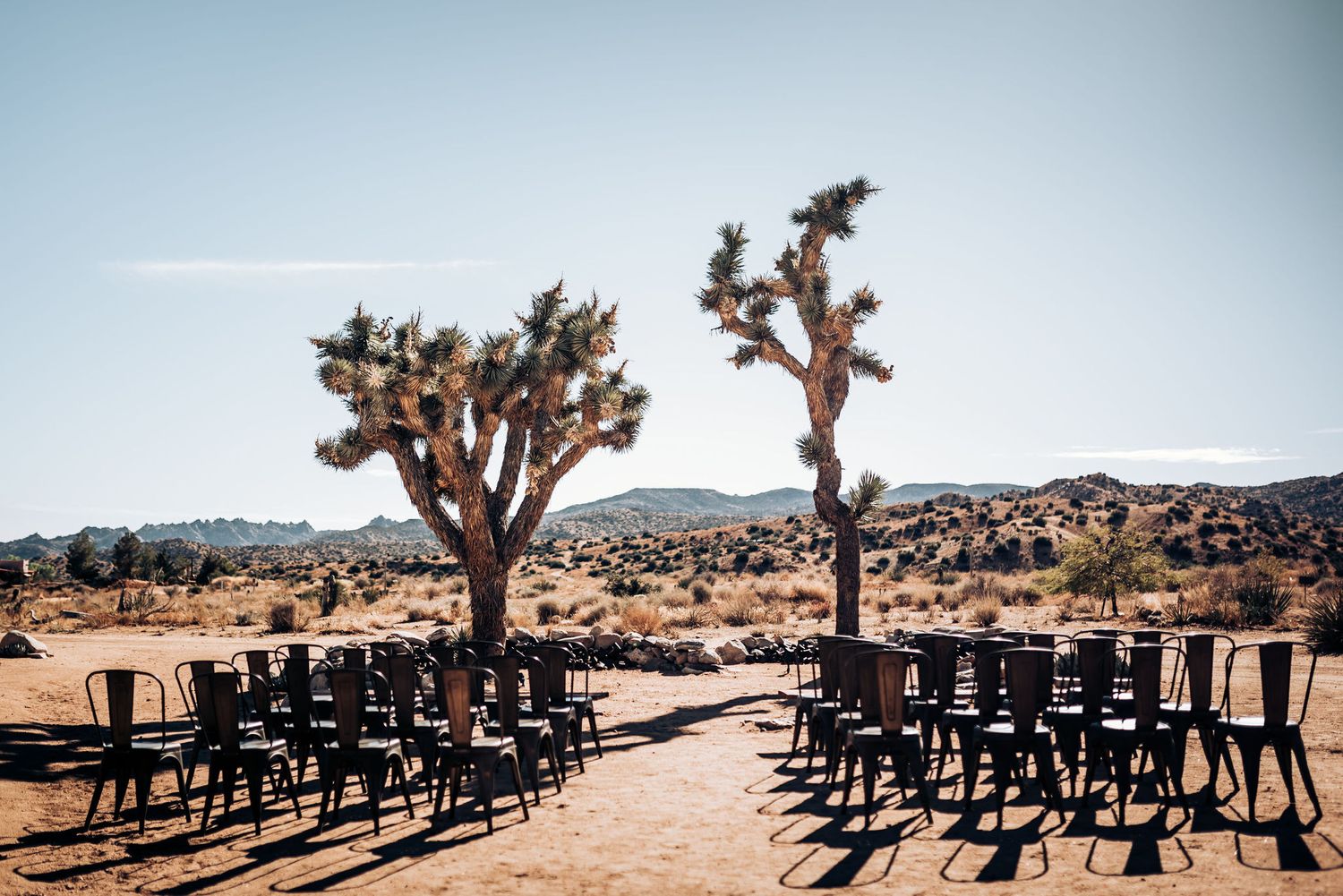 Rows of black chairs set up for an outdoor wedding ceremony with Joshua trees in the desert landscape.