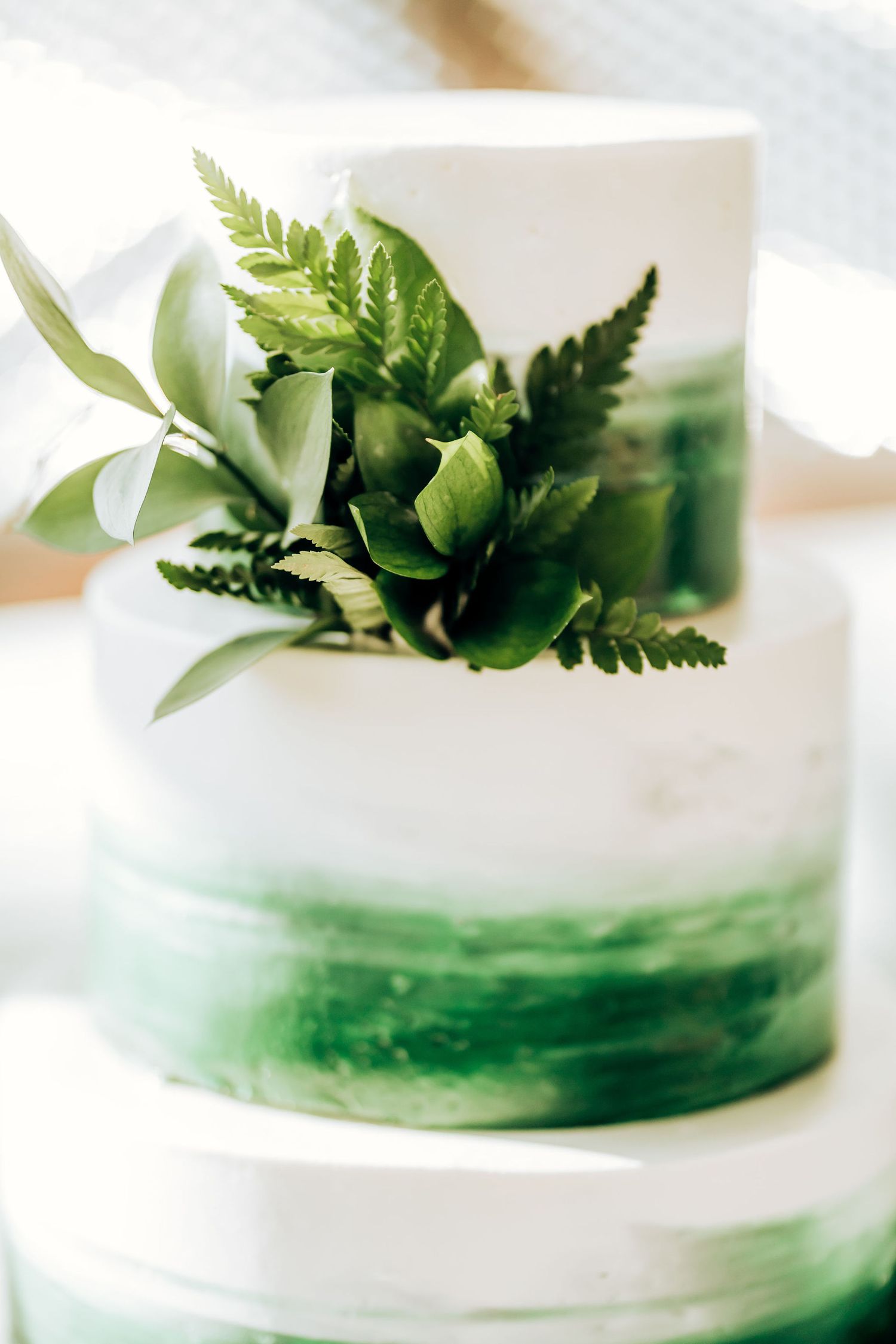 Modern two-tier white wedding cake decorated with fresh green ferns and watercolor details.