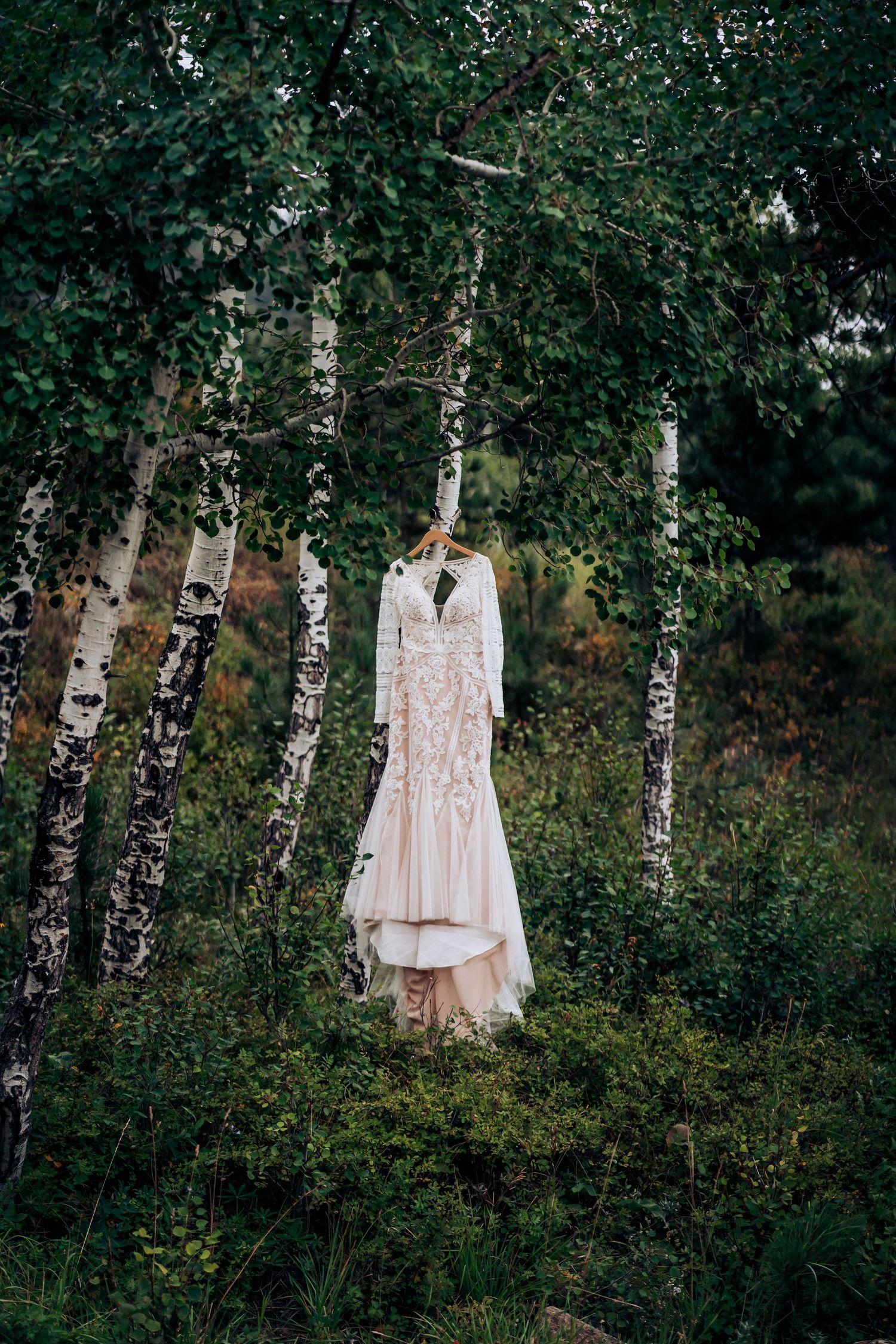 Wedding dress hanging between birch trees in a dreamy forest setting.