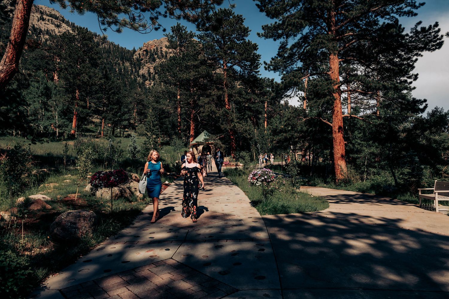 Visitors walking along a scenic mountain path surrounded by tall pine trees on a sunny day.