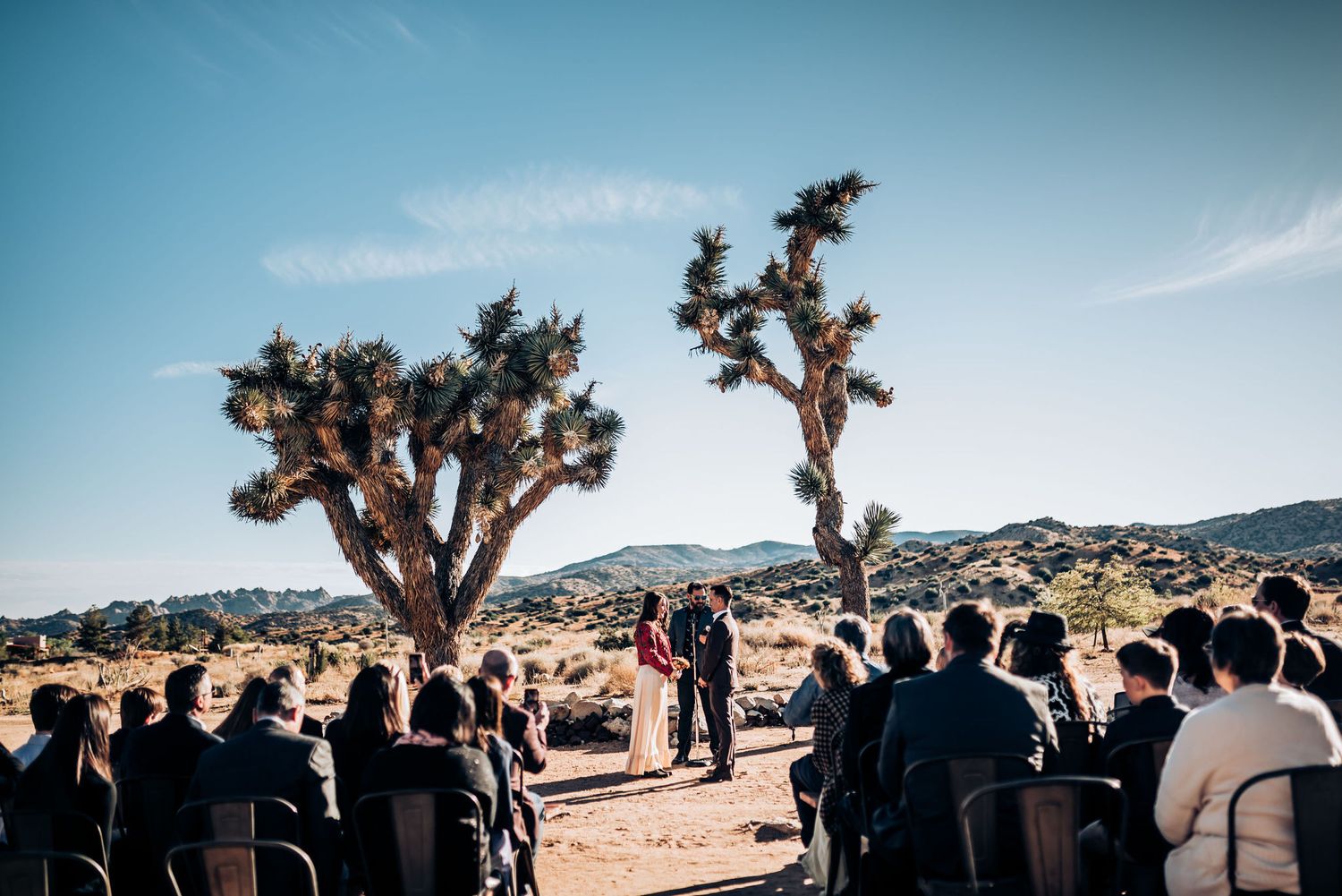 Wedding ceremony in a desert landscape with Joshua trees and mountains as the natural backdrop.