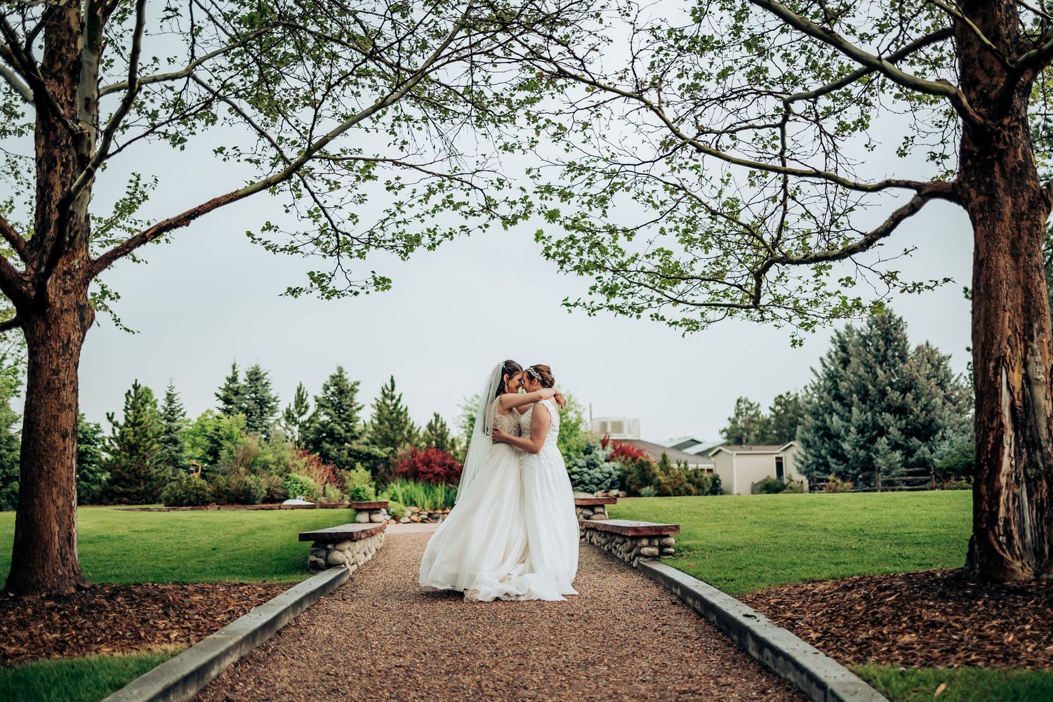 Wedding couple standing on stone path between tall trees in garden setting.