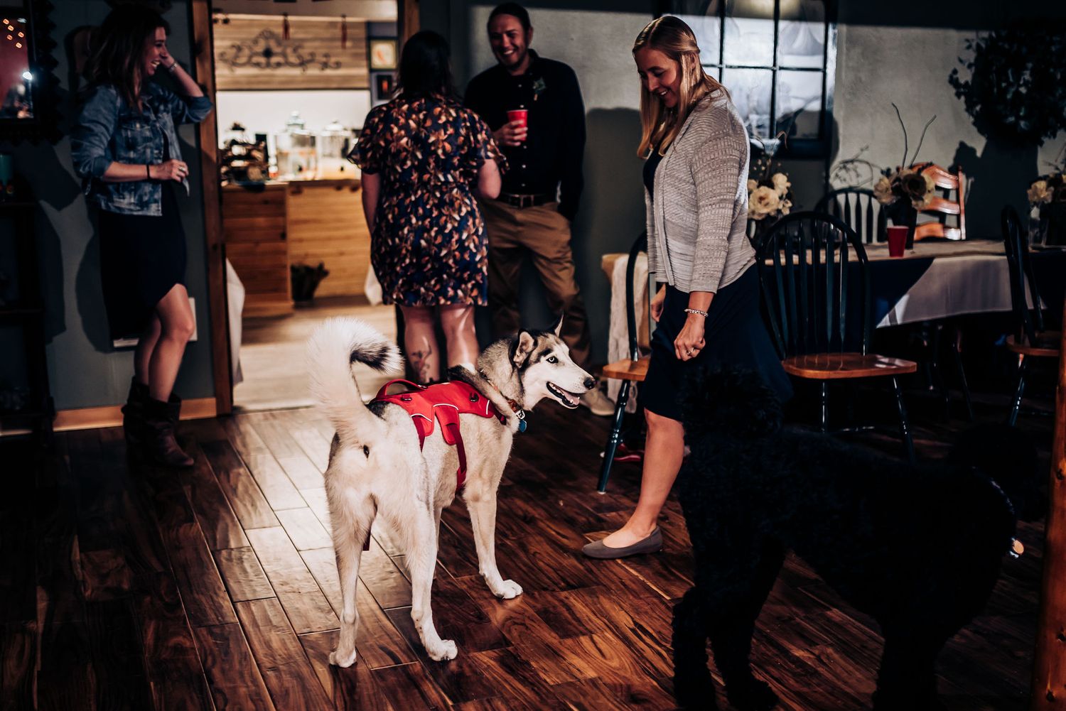 A white dog mingles with guests on a hardwood floor at an indoor gathering.