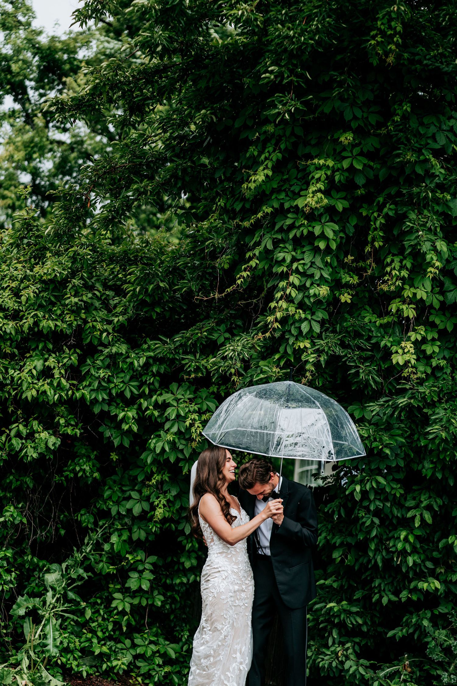 A wedding couple shares an intimate moment under a clear umbrella against a backdrop of green foliage.