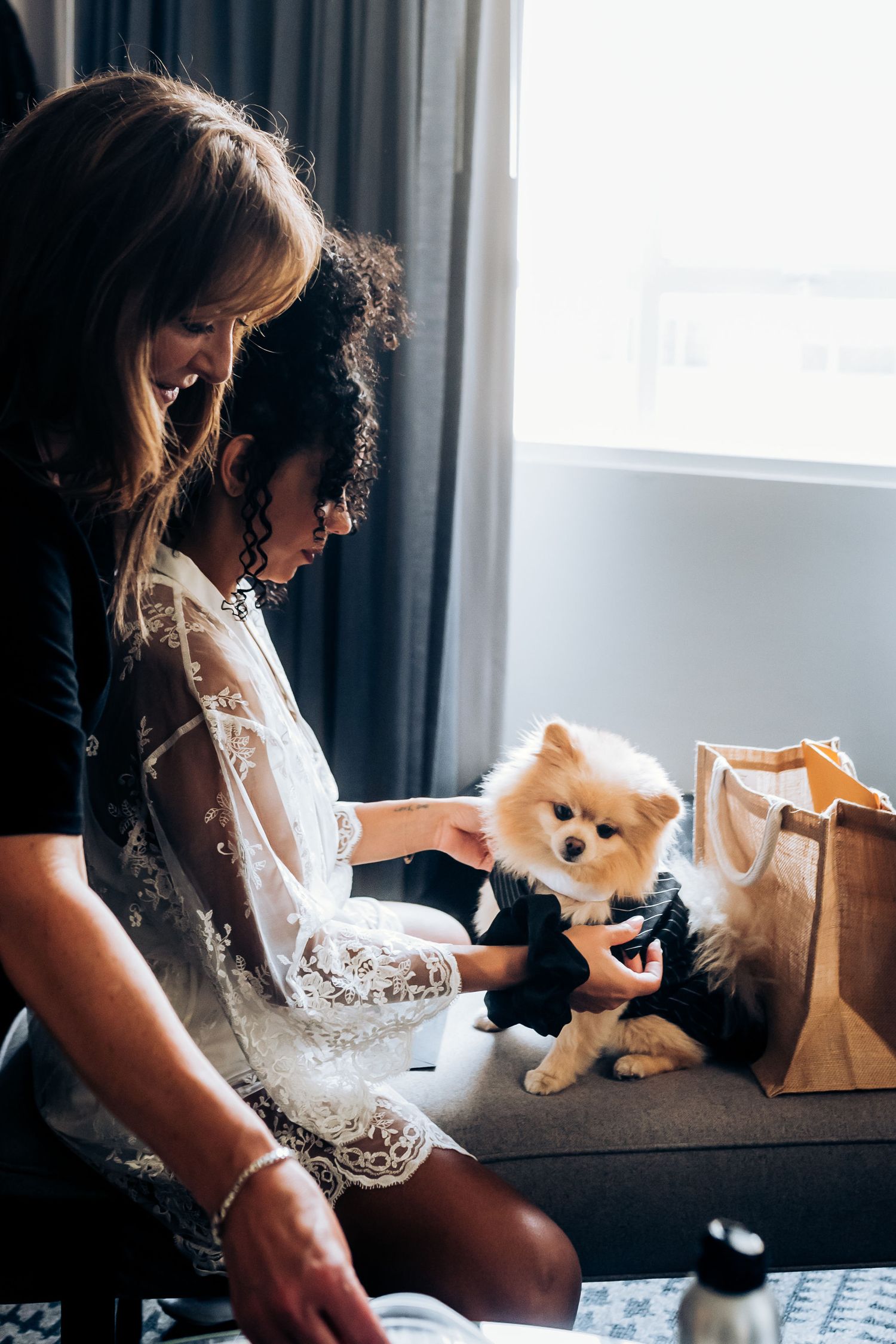A Pomeranian puppy in formal wear sits with wedding preparations underway.