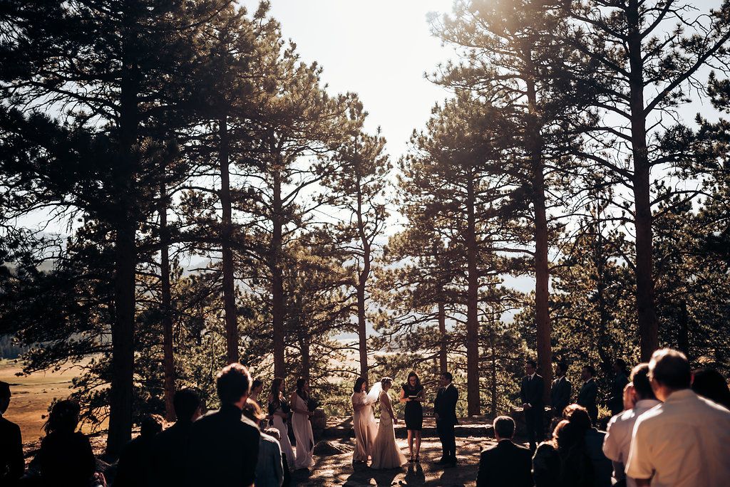 Sunlit wedding ceremony in a pine forest with guests watching from wooden benches.