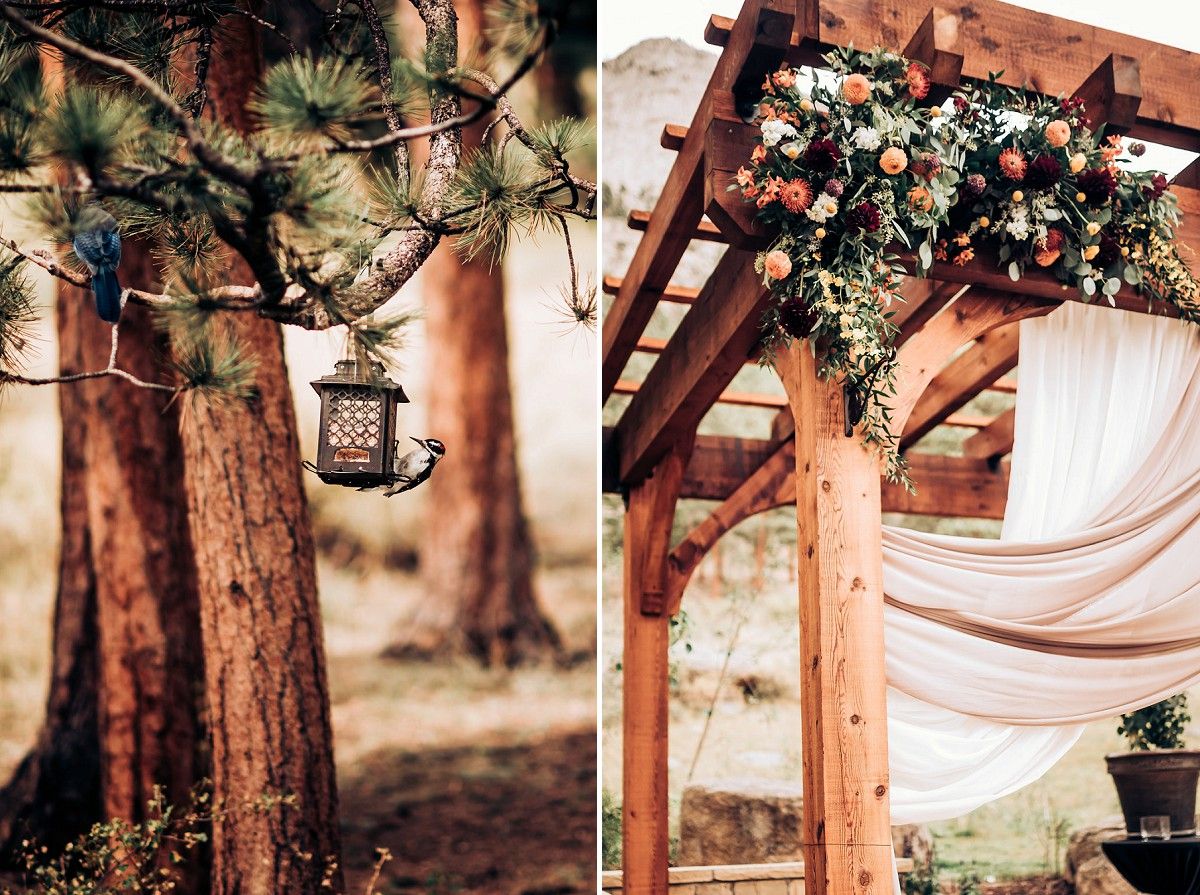 Wedding decor featuring lanterns in pine trees and a draped floral arch.