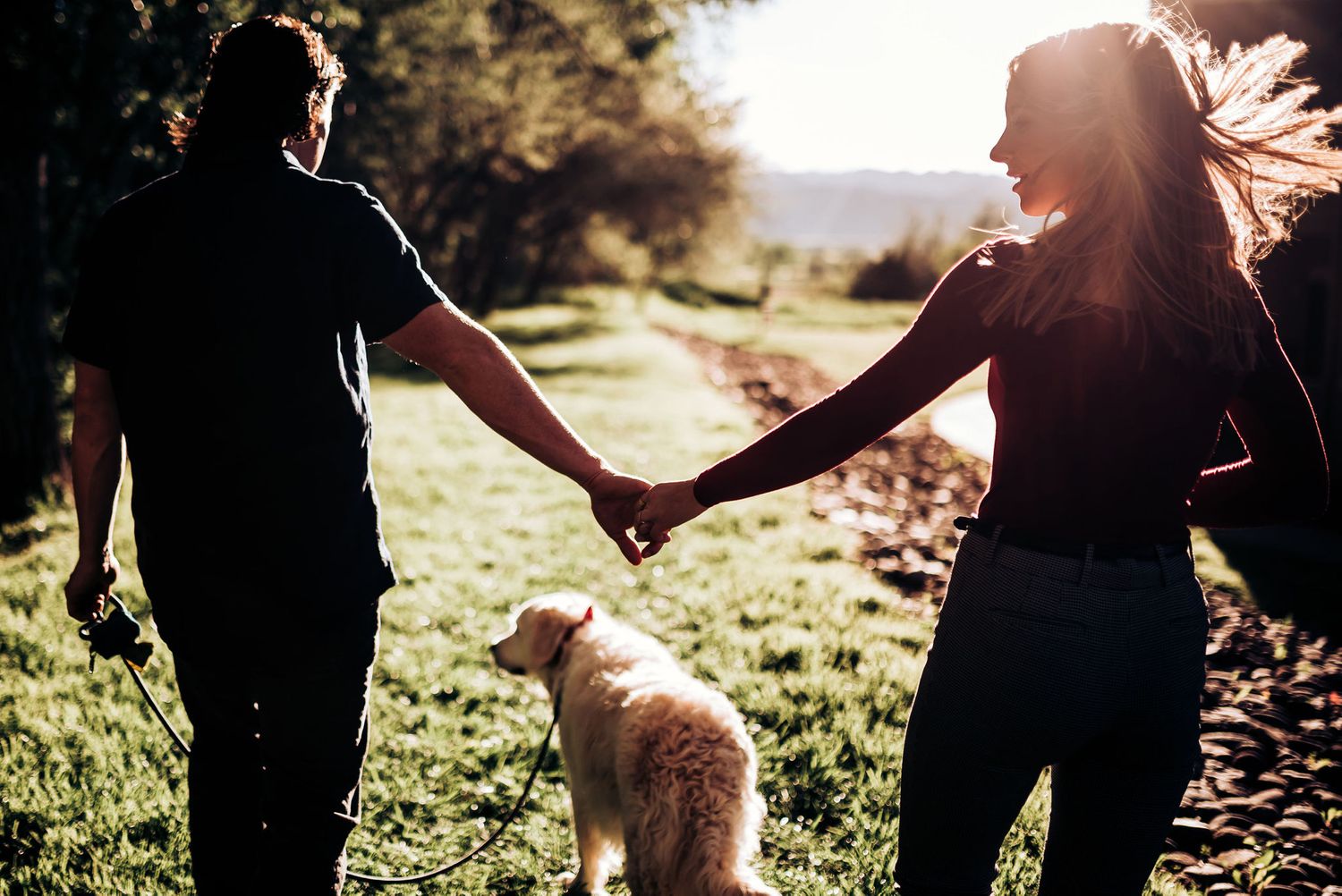 A couple holds hands while walking their dog through a sun-drenched field at sunset.