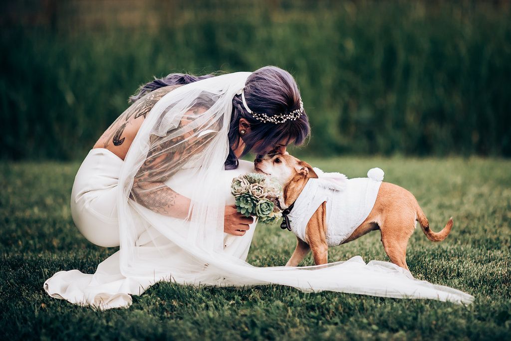 A bride in a white dress crouches to pet a bulldog on grassy ground during wedding celebrations.