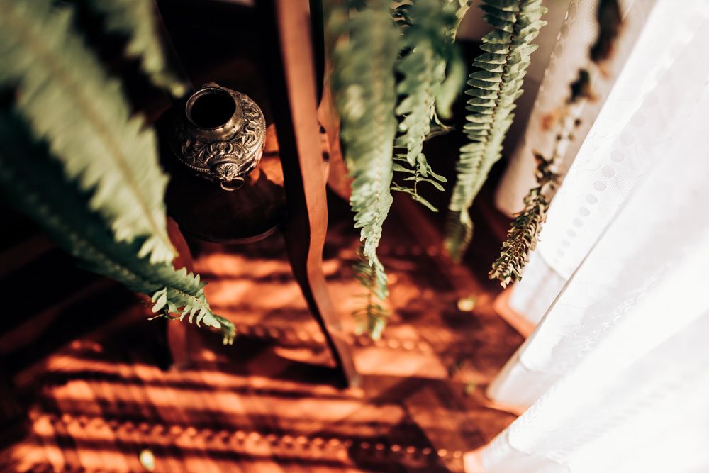 Artistic closeup of ferns and decorative elements against a rustic wooden surface.