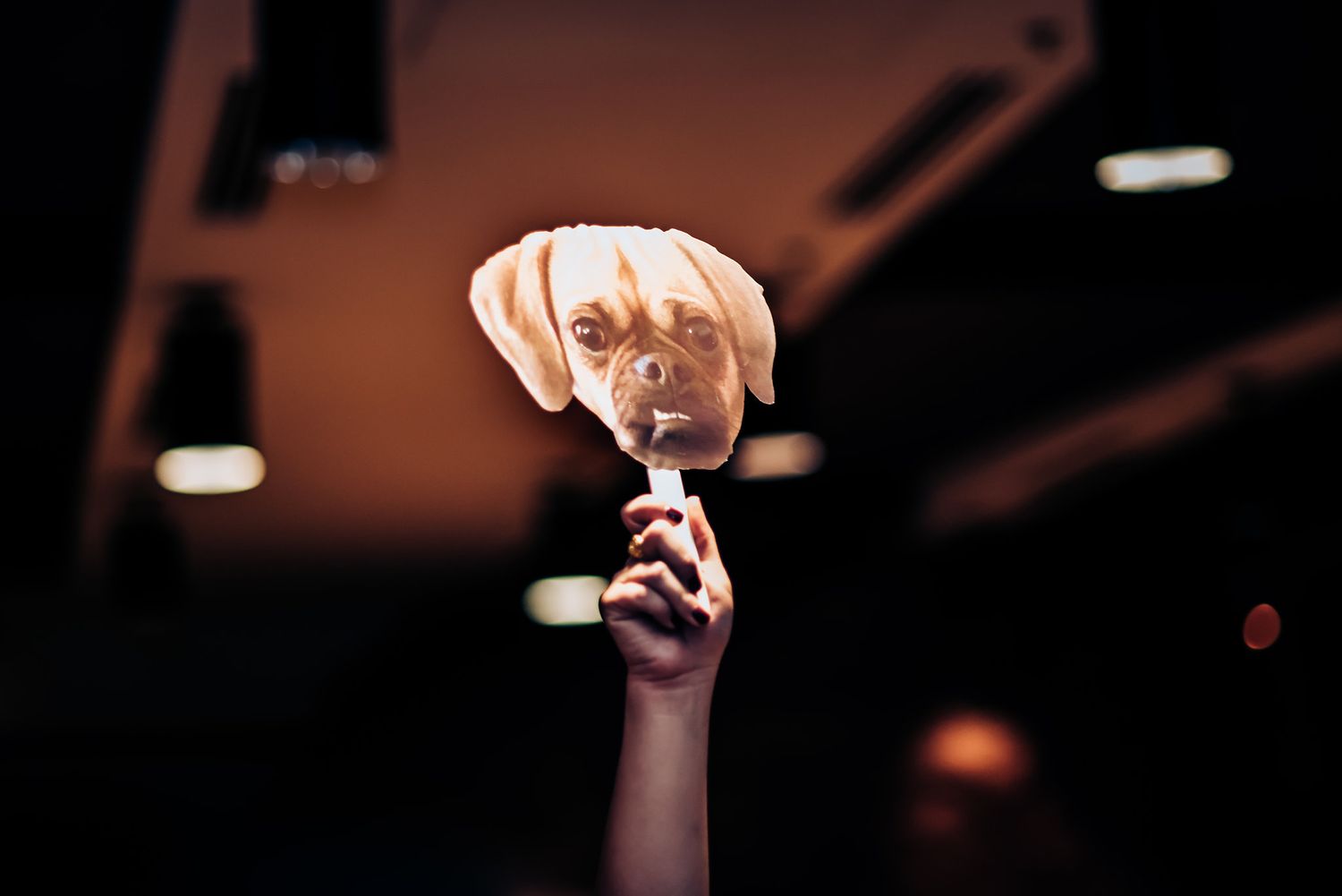 Hand raises puppet figure against dark ceiling with spotlights.