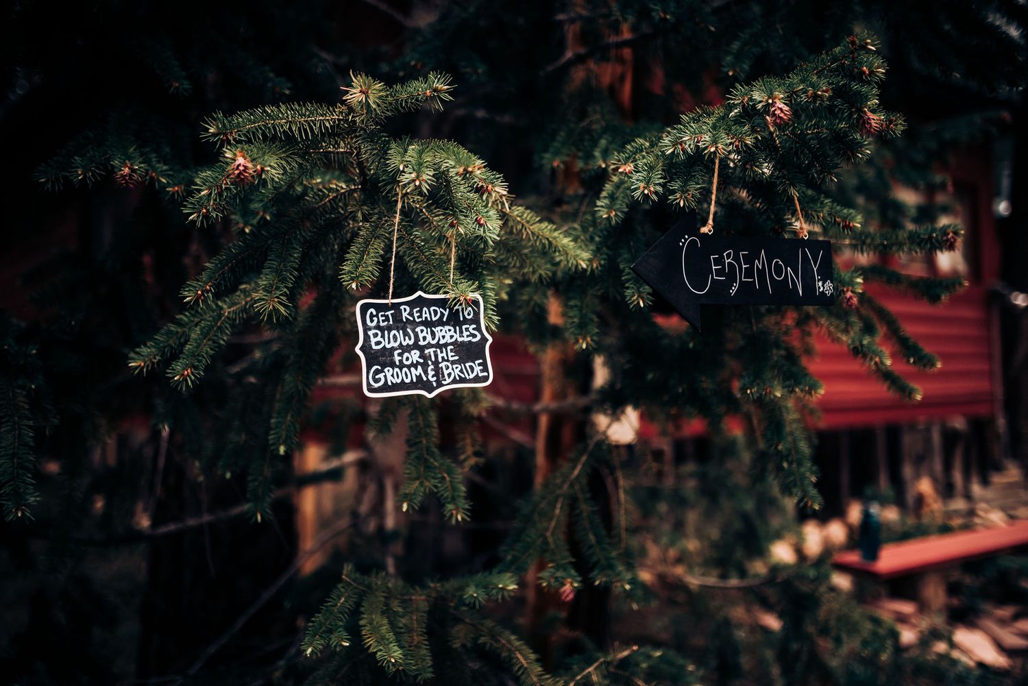 A decorative sign hangs from an evergreen branch in moody lighting.