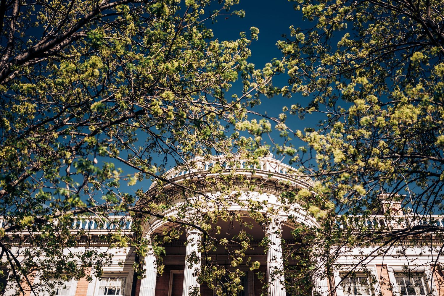 Ornate classical building facade with columns and decorative details framed by spring branches.