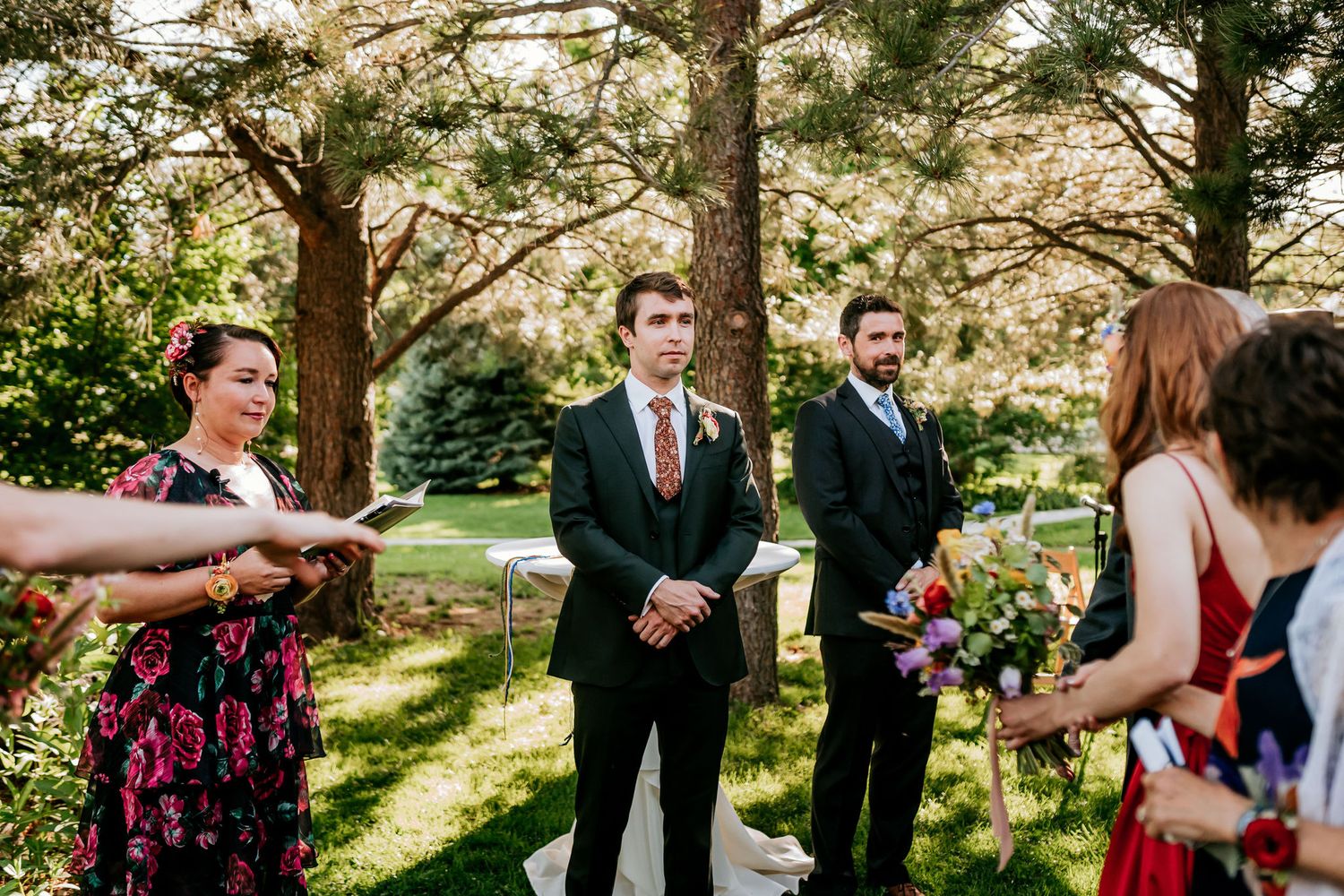 An outdoor ceremony scene with attendees gathered under pine trees in natural lighting.