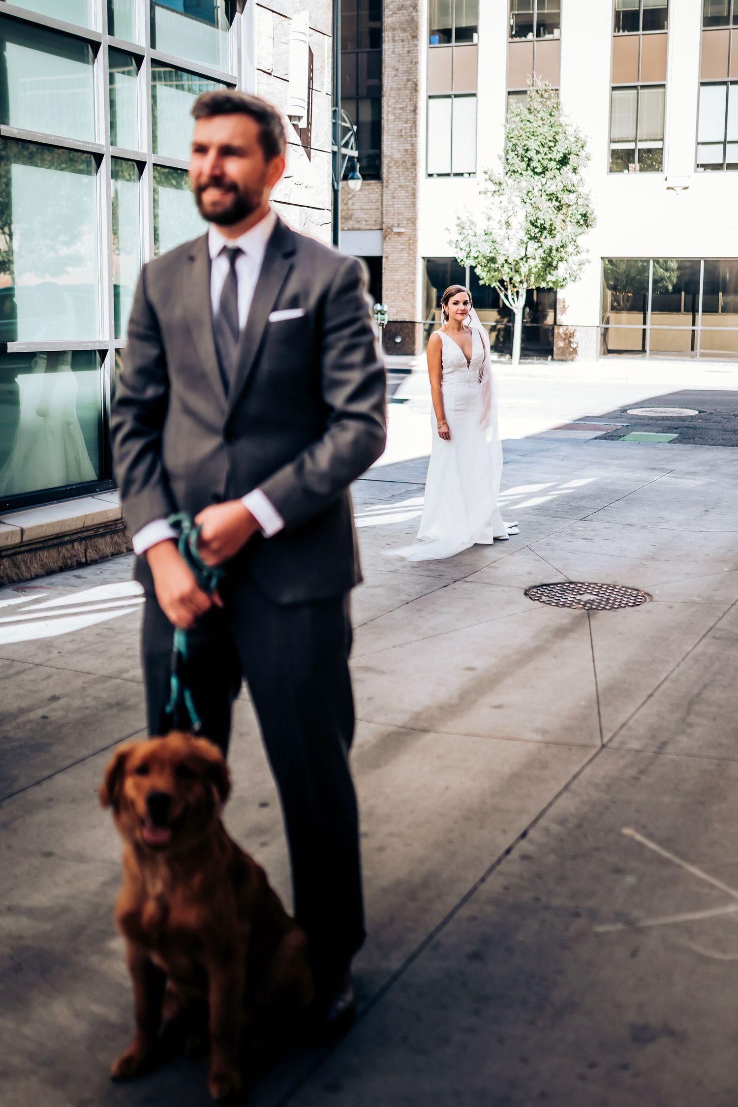 A dog sits loyally on an urban sidewalk during a wedding photo session.