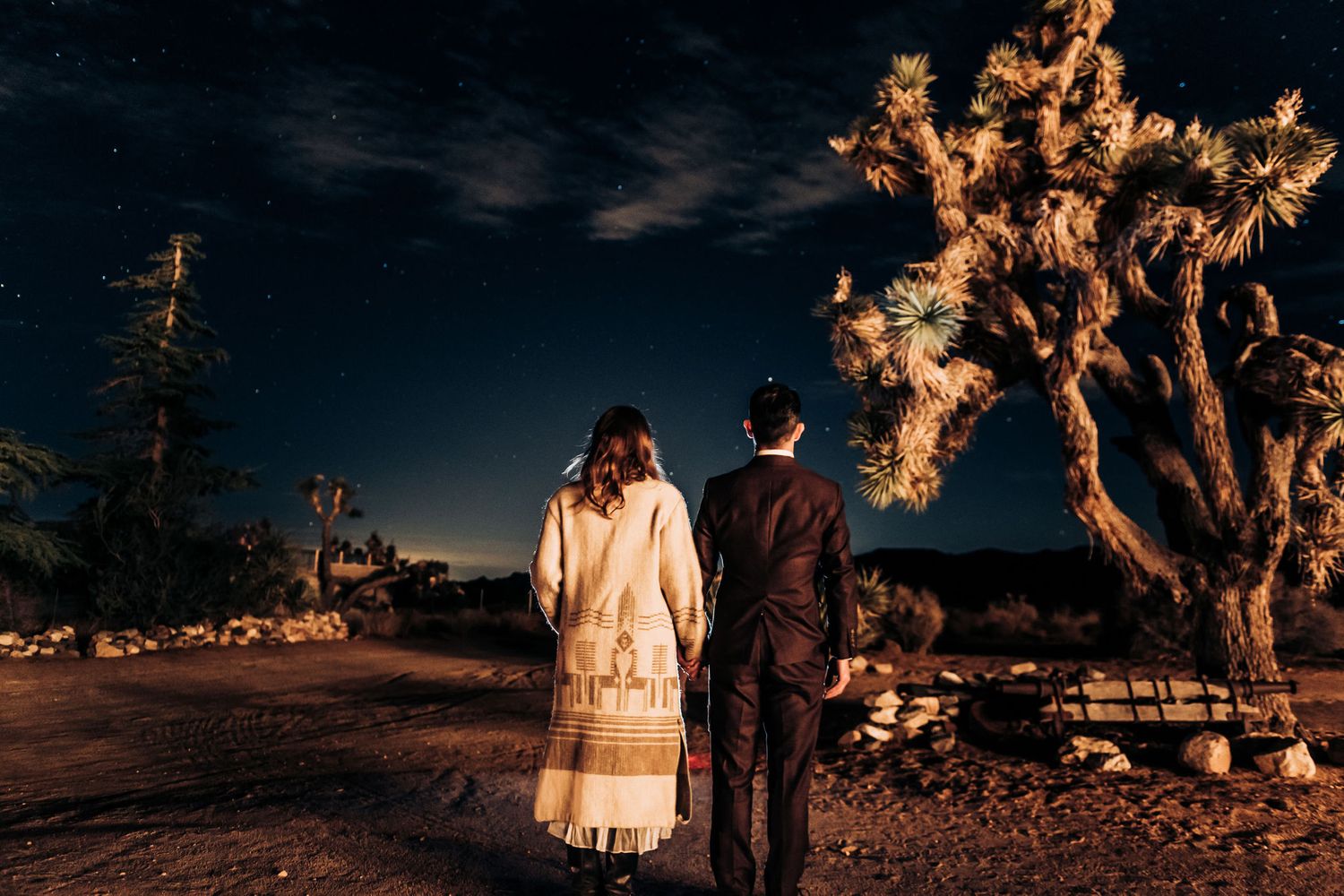 A couple stands together at dusk in the desert with a Joshua tree silhouetted against the sky.