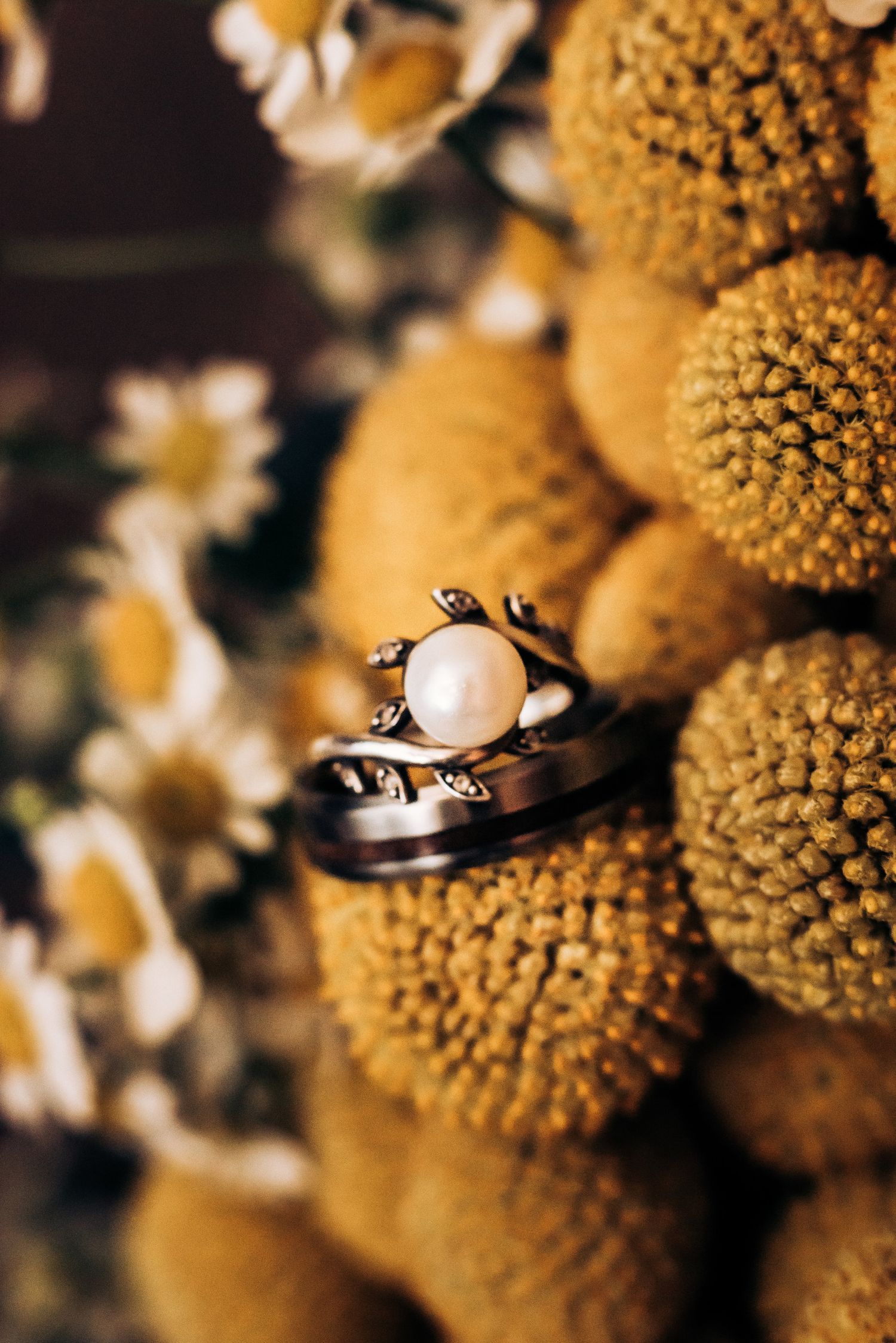 Pearl engagement ring nestled among yellow billy ball flowers in artistic detail shot.