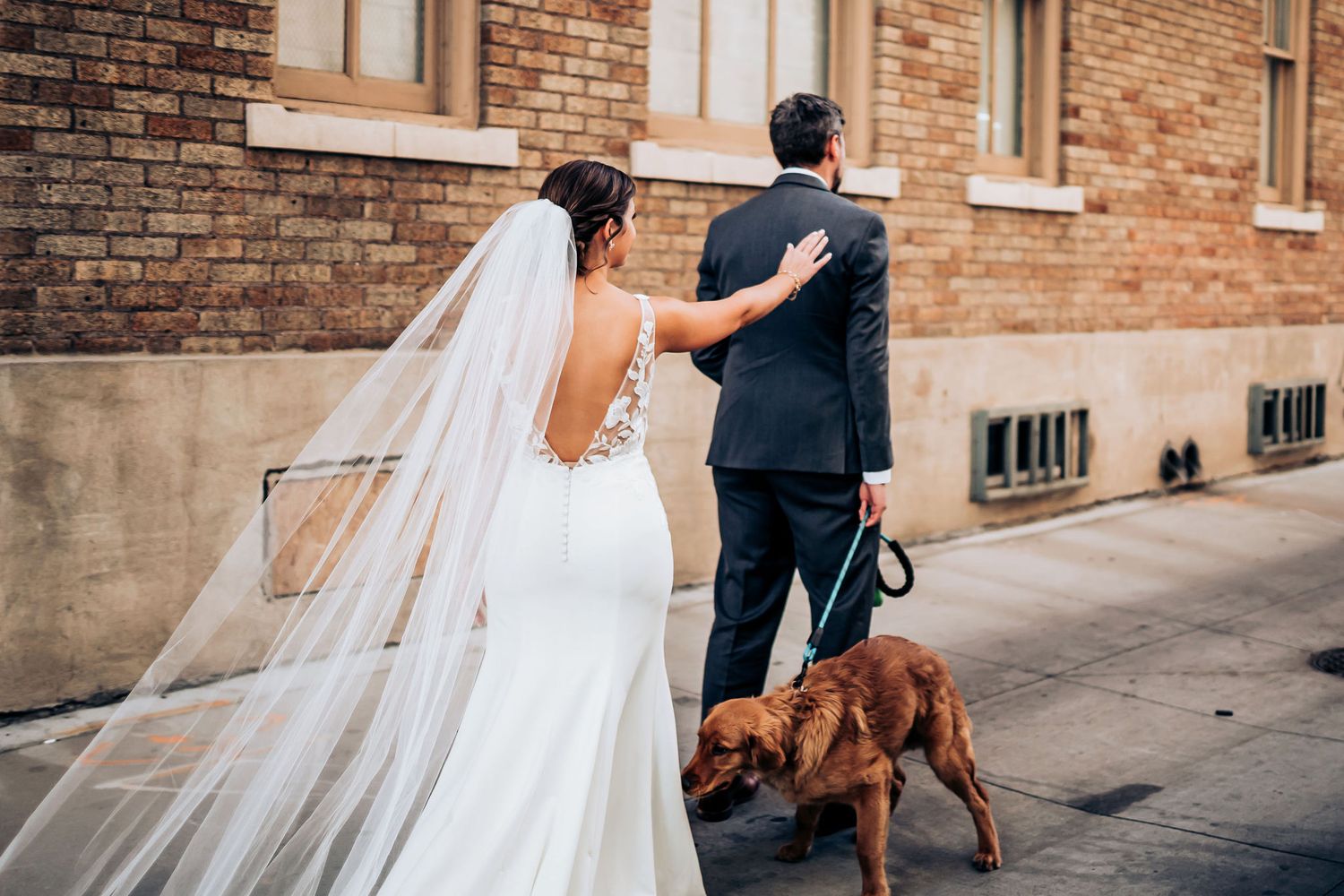 A bride in a flowing white dress and veil walks with her groom and their brown dog on an urban sidewalk.