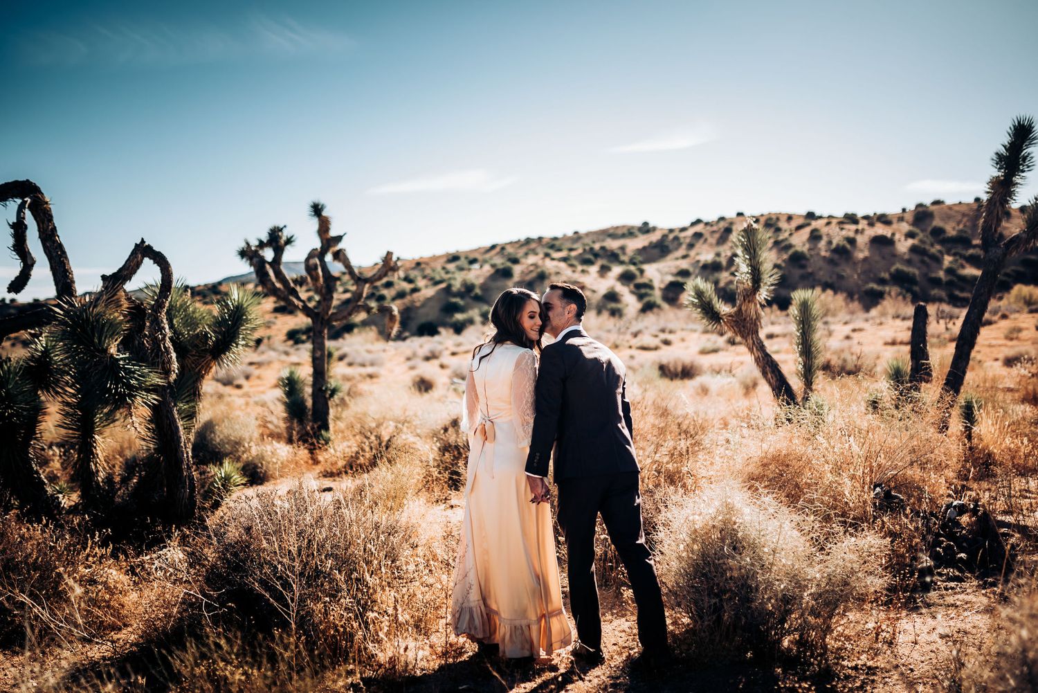 Desert wedding photography with couple among Joshua trees and rocky terrain.