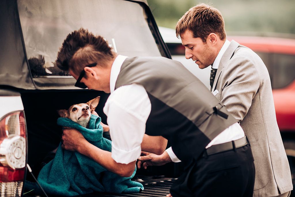 Two men in formal attire lean into a car trunk examining something.