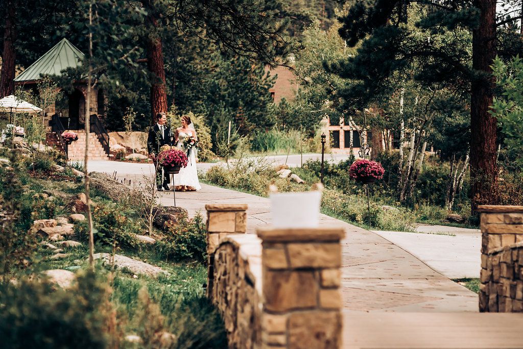 Stone-lined garden pathway winding through pine trees and landscaping.