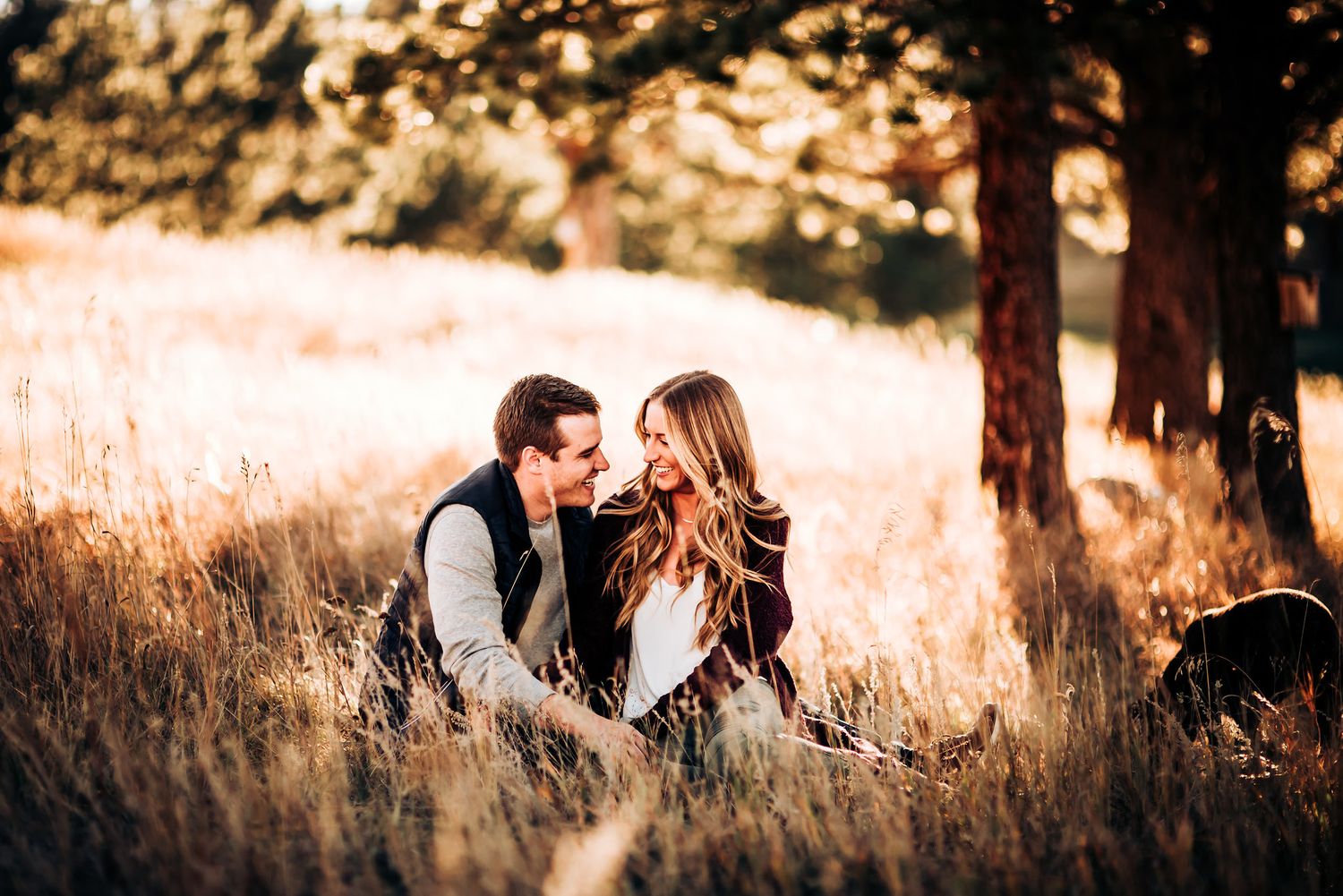 Two people share a tender moment while sitting in a sunlit field surrounded by tall grass and pine trees.