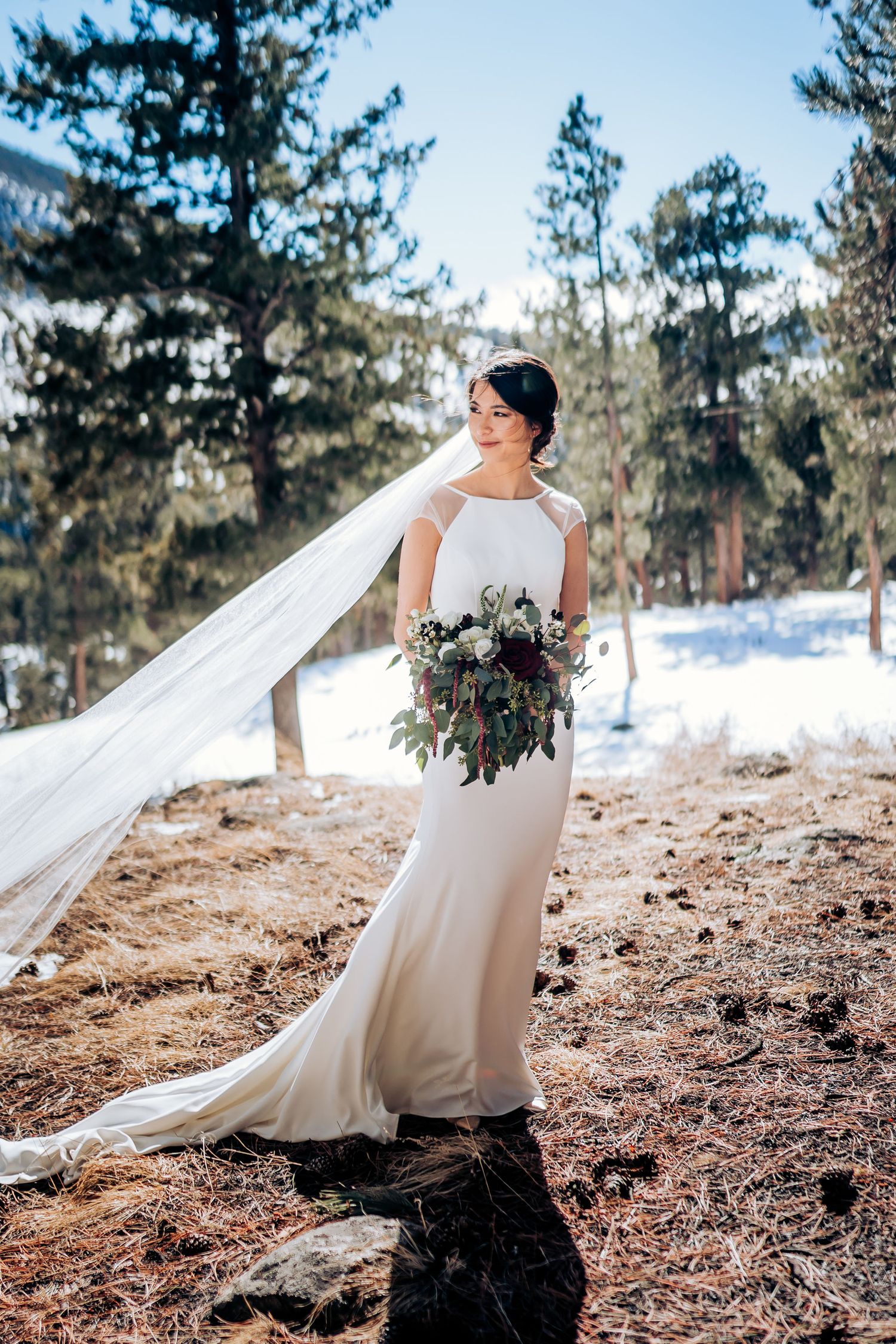 Bride in elegant fitted dress with flowing veil poses against winter mountain landscape.