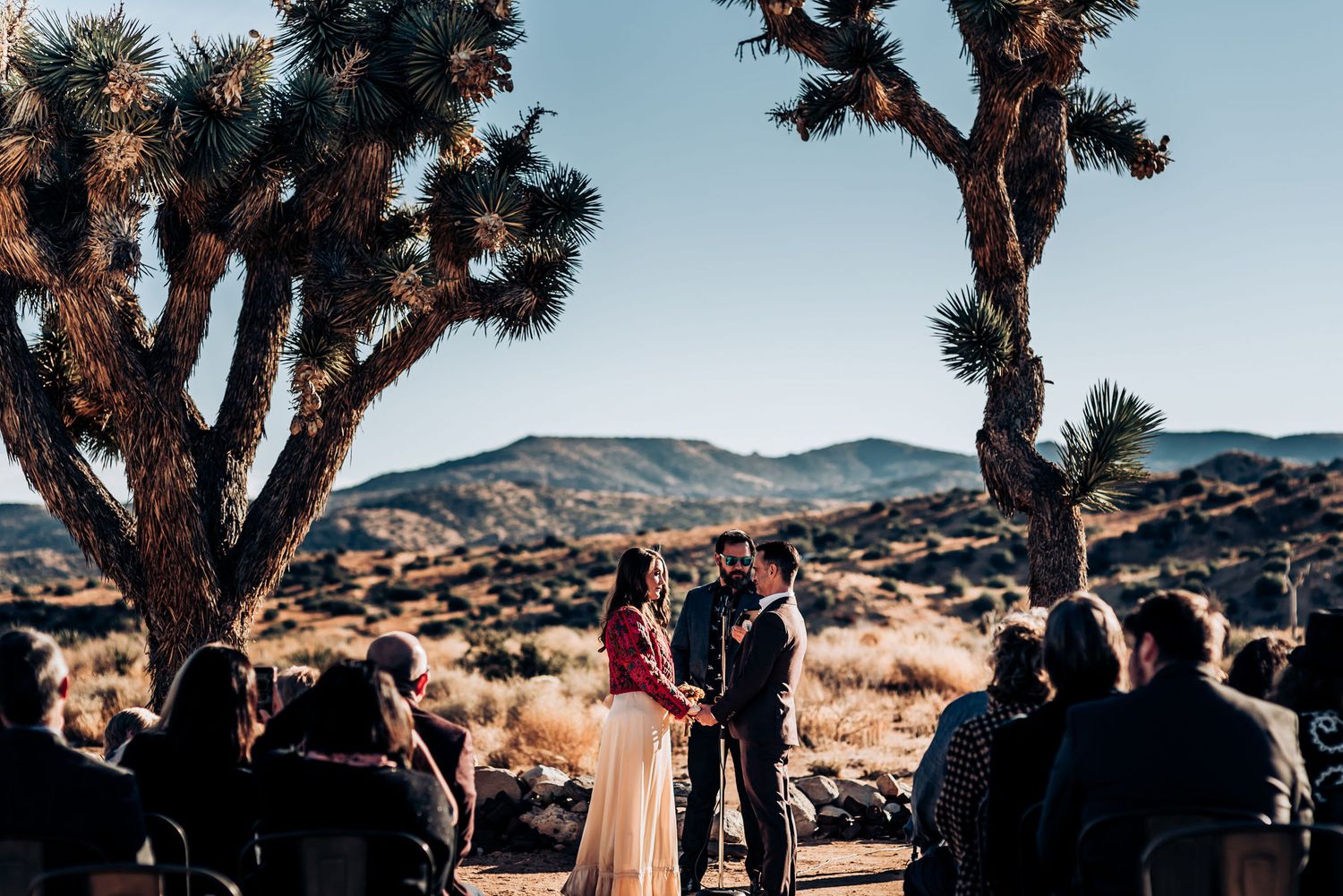 Desert wedding ceremony between two Joshua trees with guests seated and mountains in view.