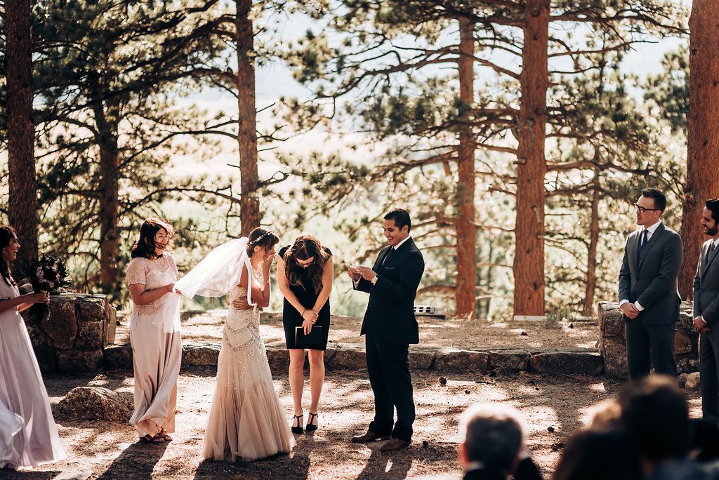 Outdoor forest wedding ceremony with guests gathered among tall pine trees in natural sunlight.