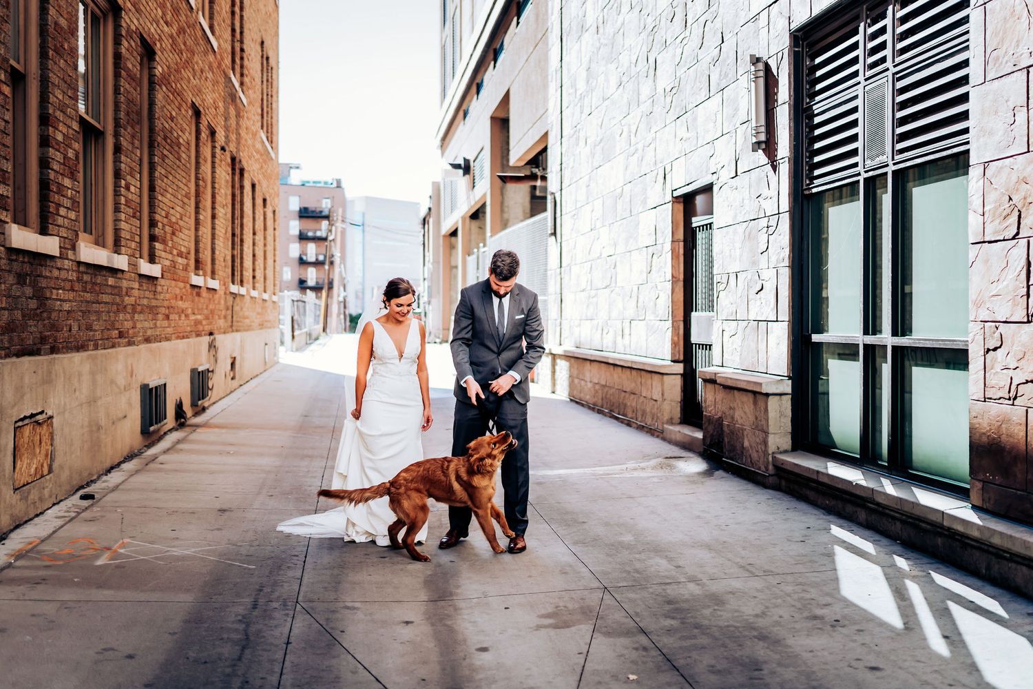 A newlywed couple walks their dog down an urban alley with brick buildings.