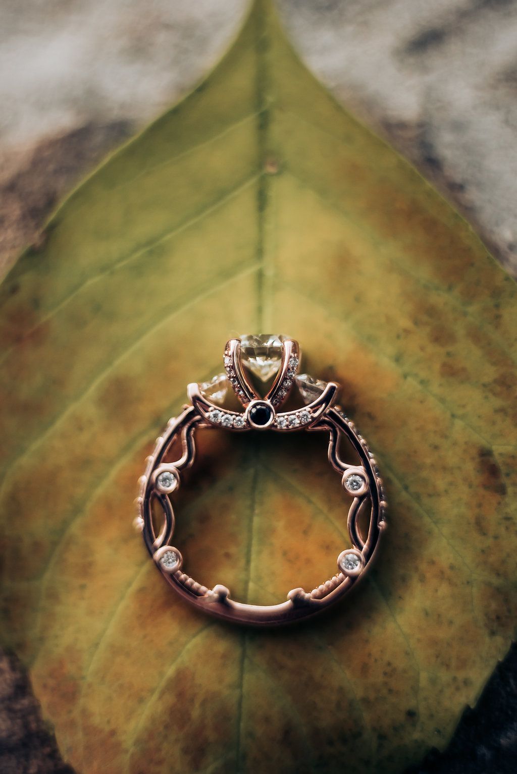 Vintage-style engagement ring photographed on autumn leaf with intricate details.
