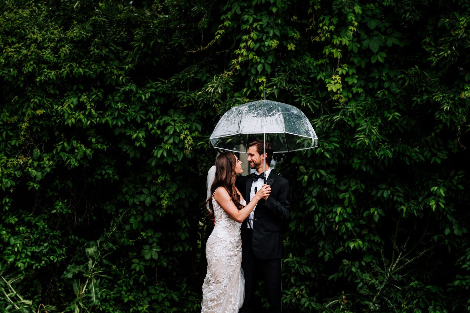 A couple shares an intimate moment under a clear umbrella against green foliage.