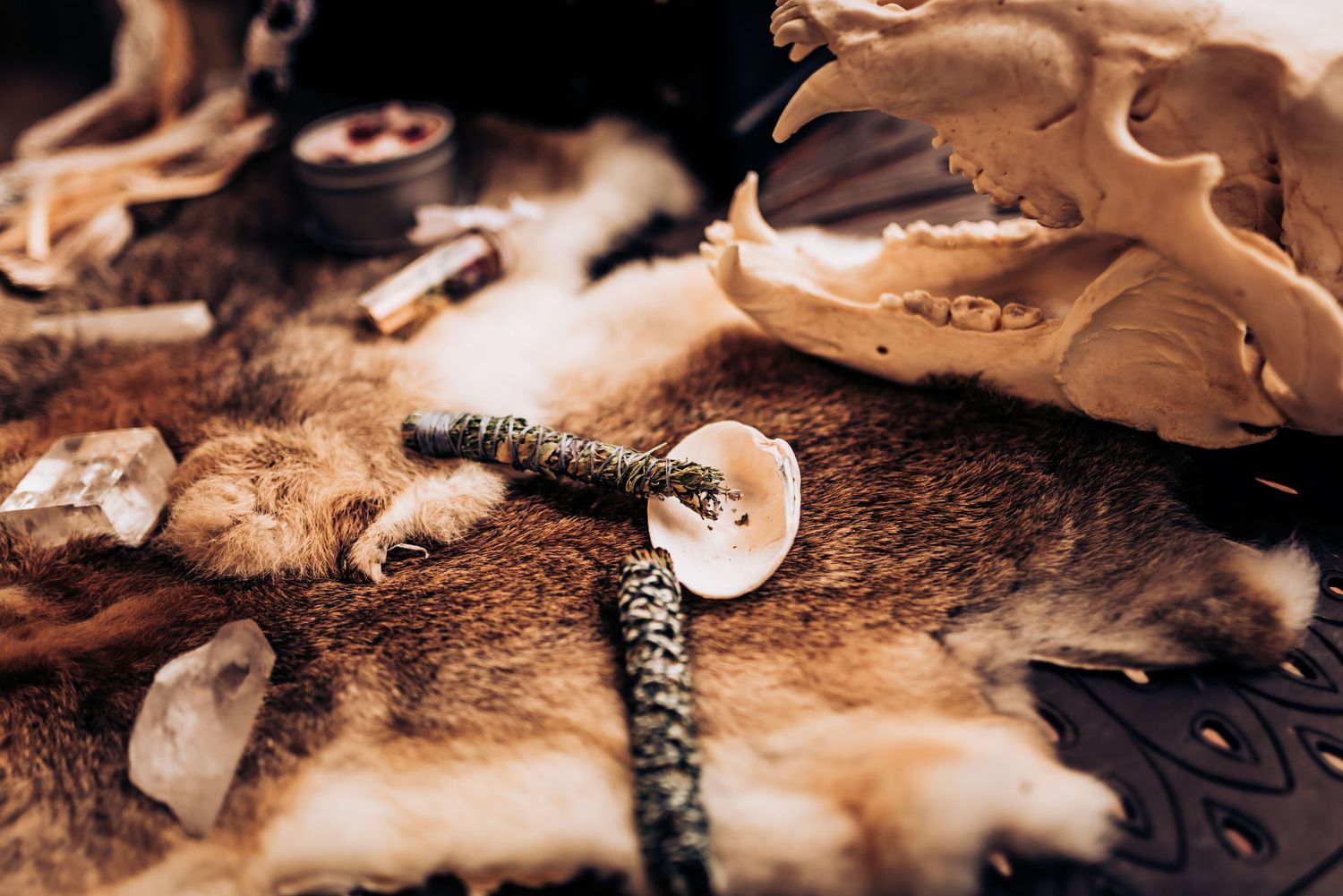Close-up of animal bones and decorative objects displayed on fur surface.