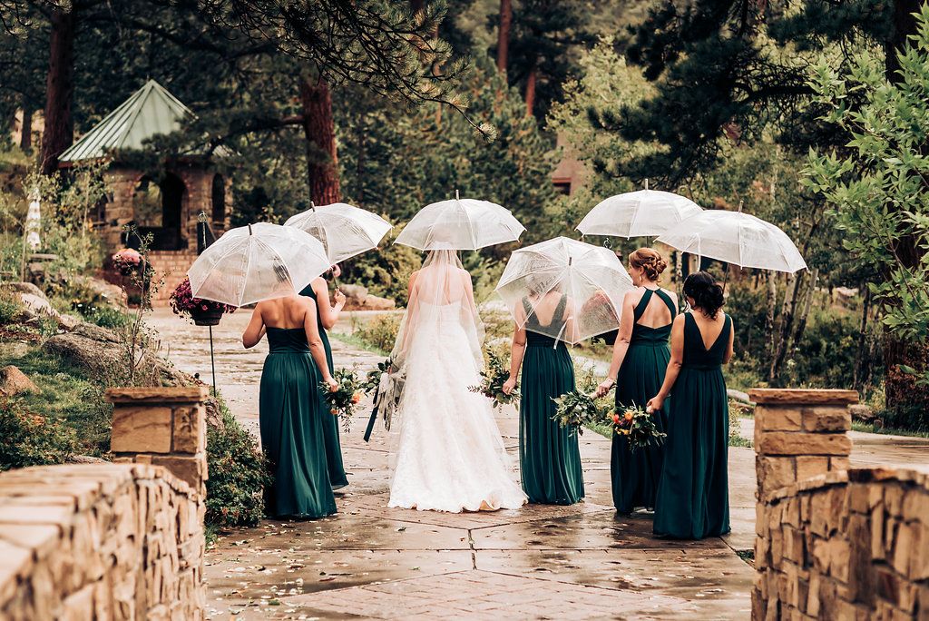 Wedding party with umbrellas stands on stone path surrounded by pine trees.