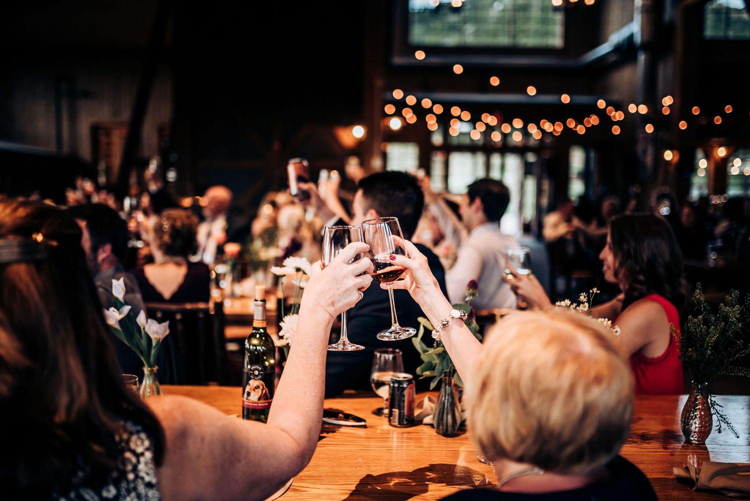 Guests raise their glasses in a toast during a celebratory dinner under string lights.