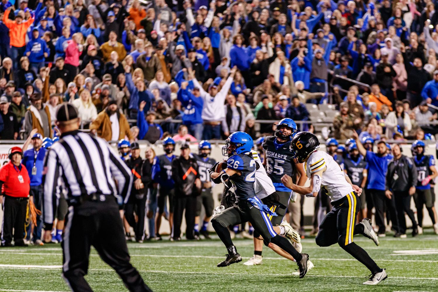 Crowd celebrates as football players make dramatic plays on the field during an exciting game.