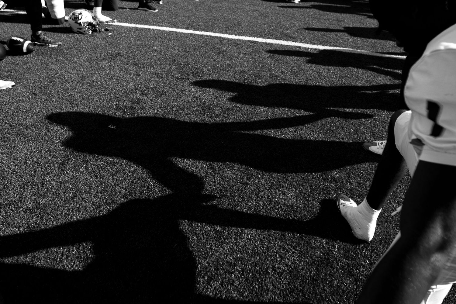 Artistic black and white photograph of long shadows cast on textured ground.