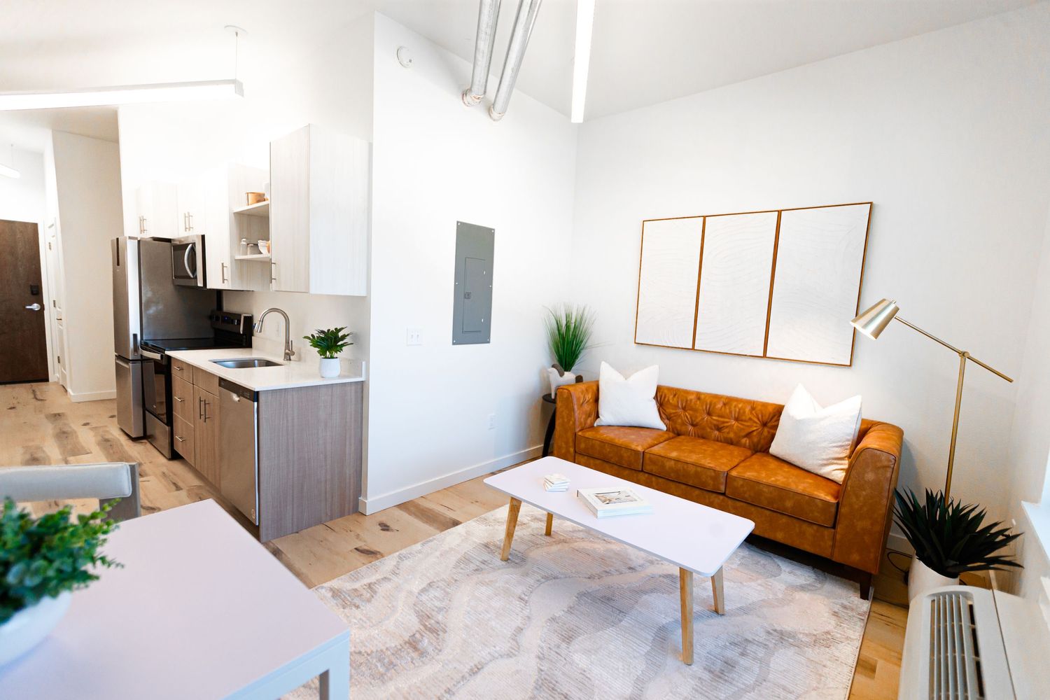 Open concept living space with leather sofa, wooden frames, and modern kitchen in background.