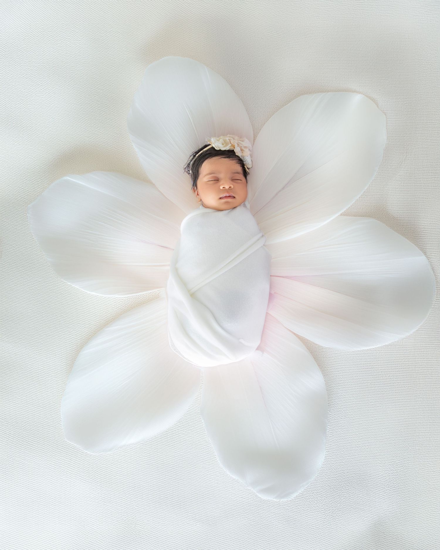 Delicate white plumeria flowers with soft pink centers arranged in a dreamy, ethereal composition against a light background.