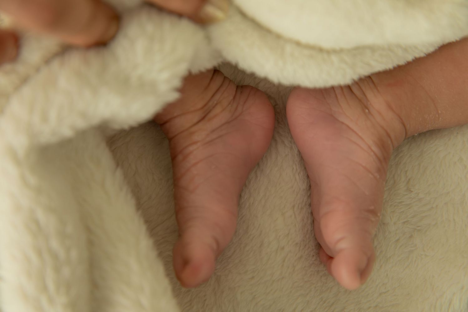 A close-up view of tiny baby toes resting on soft white fabric.