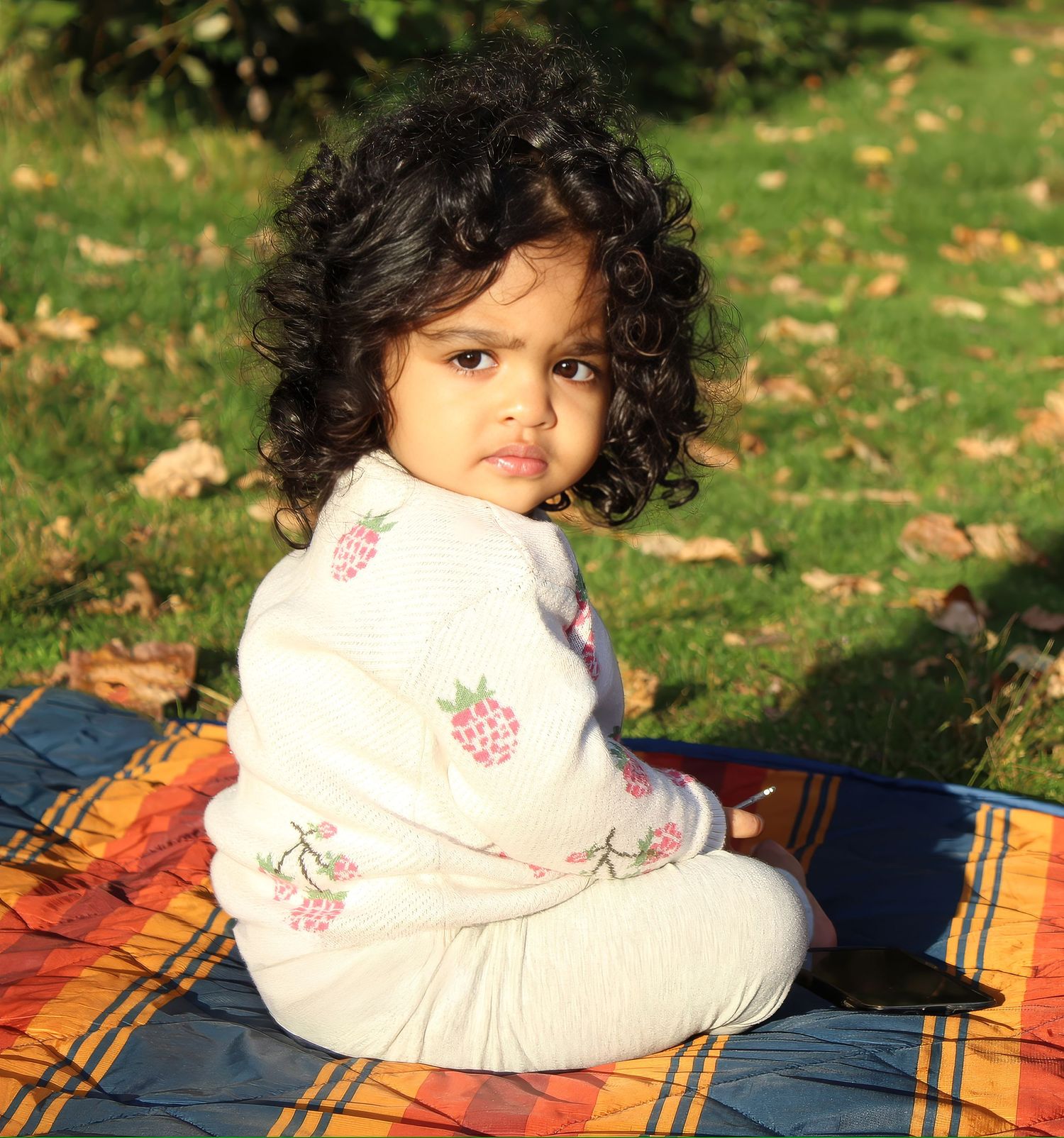 Young child sitting on a colorful blanket outdoors during autumn with fallen leaves.