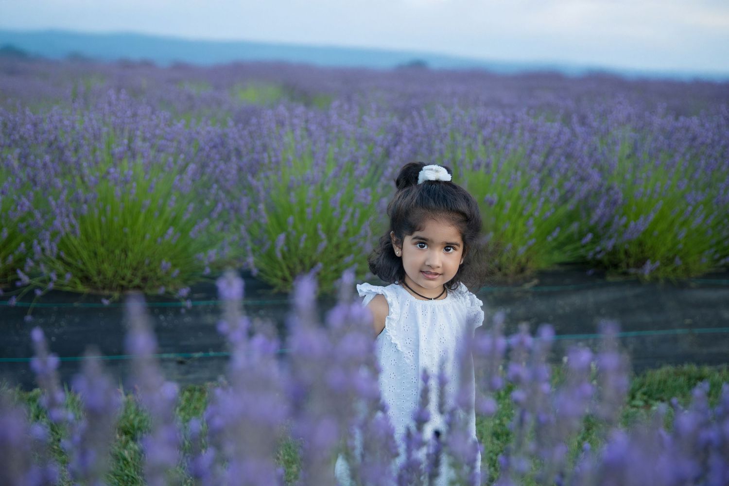 Summer portrait in lavender field with mountains in background.