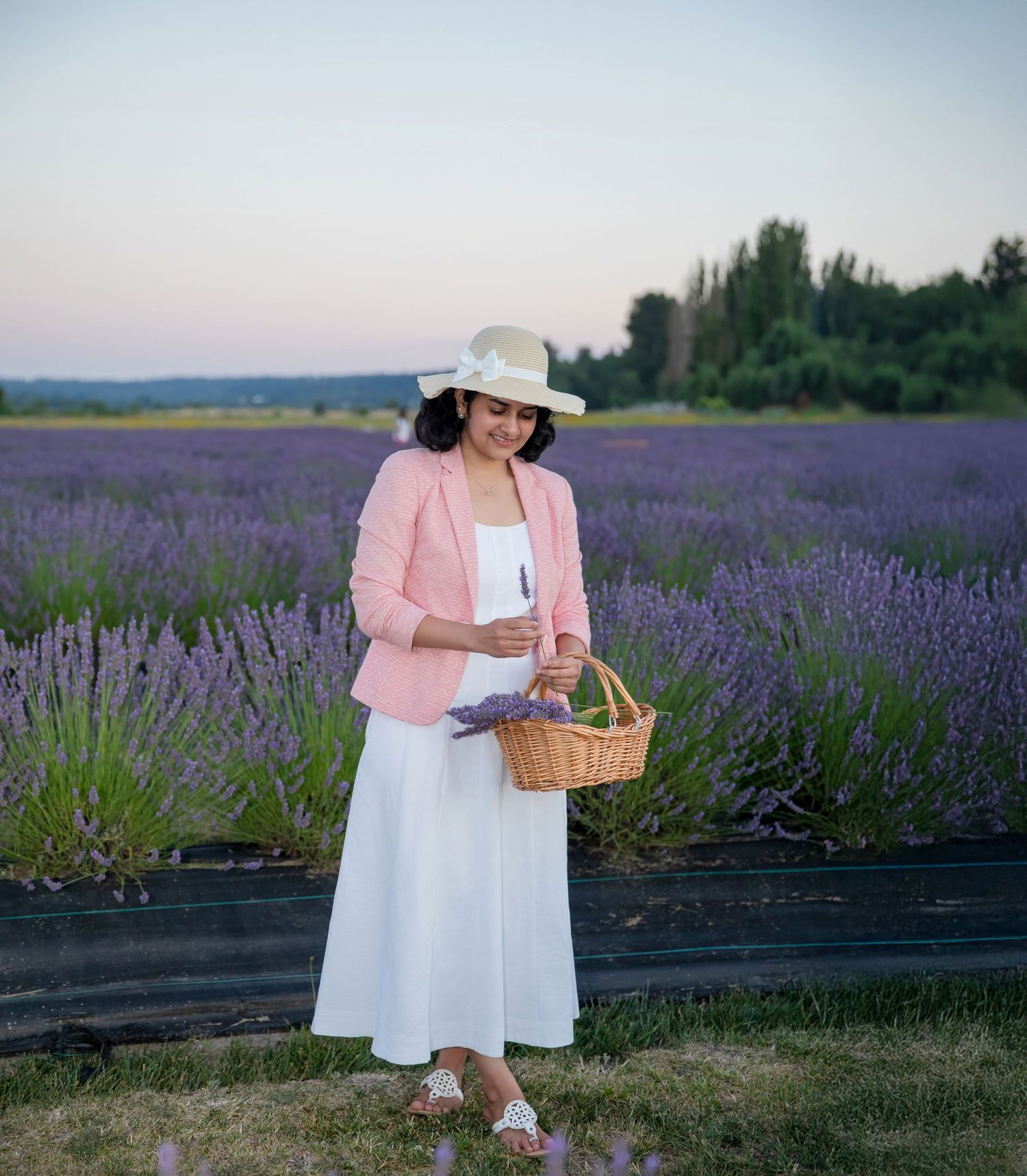 Person in white dress and pink cardigan holds basket while standing in lavender field.