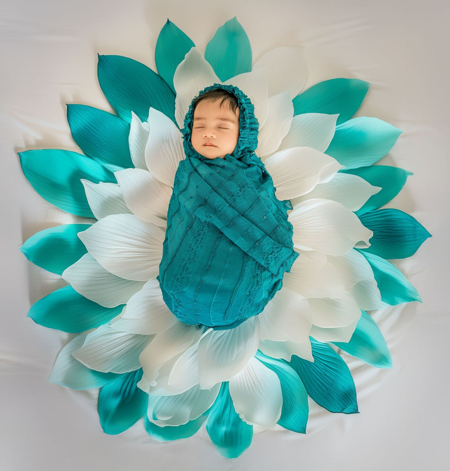 A sleeping baby wrapped in turquoise fabric lies on white petals creating a flower-like composition against a light background.