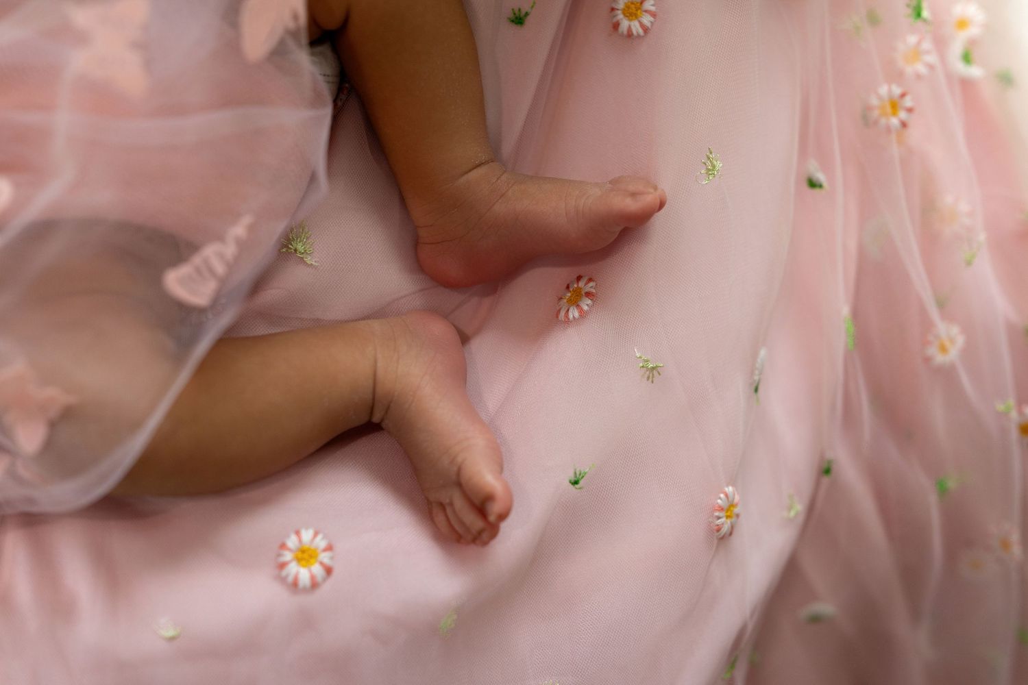 Close-up of newborn baby feet resting on pink tulle fabric embroidered with delicate daisy flowers.