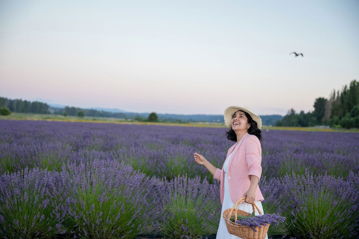 Person in pink outfit with basket explores blooming lavender field during sunset.