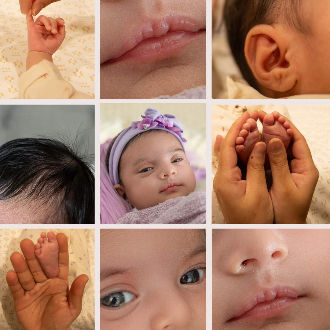 Close-up collage of baby features showing tiny hands, feet, noses, and eyes in a warm neutral color palette.